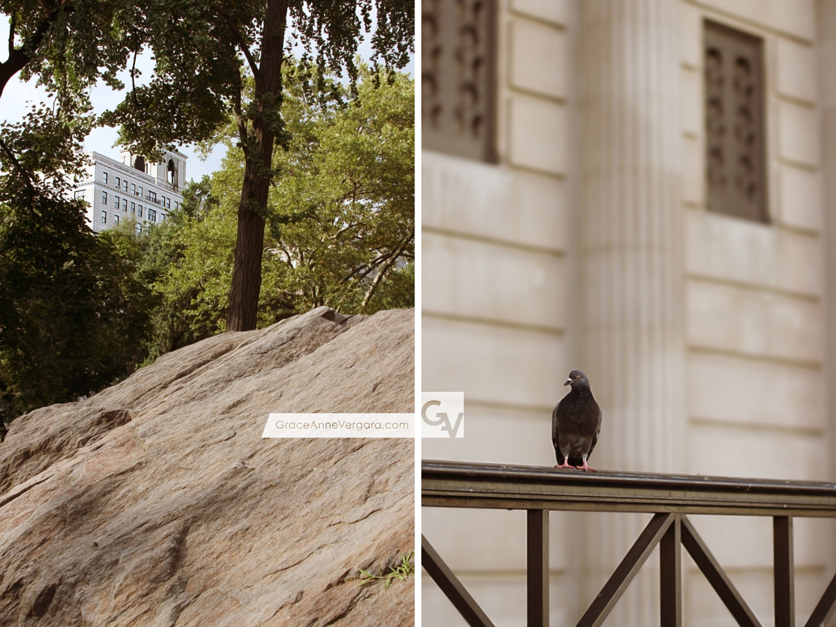 Grace-Anne-Vergara-Paris-in-NYC-V05