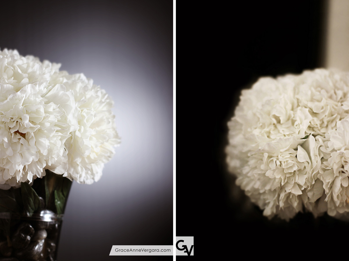 Grace-Anne-Vergara-Peony-V01
