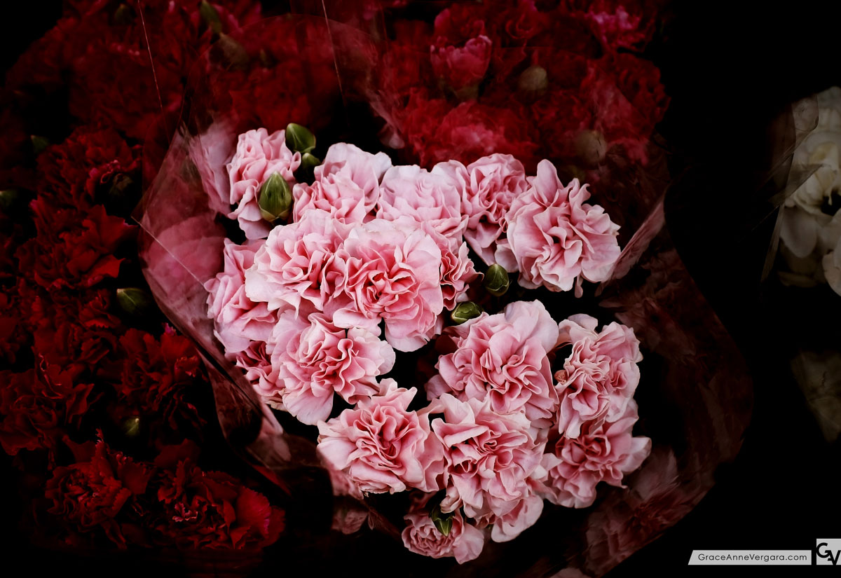 Dark Flowers | © 2014 Grace Anne Vergara