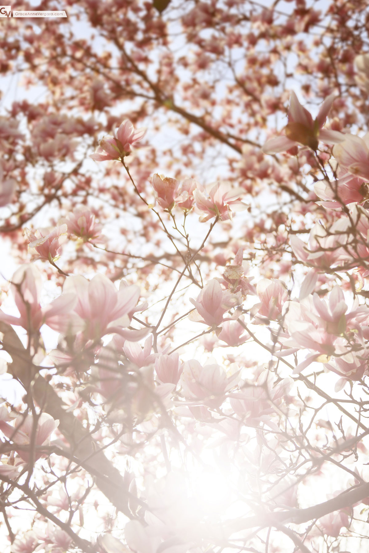 In the Details: May 2014 | © 2014 Grace Anne Vergara