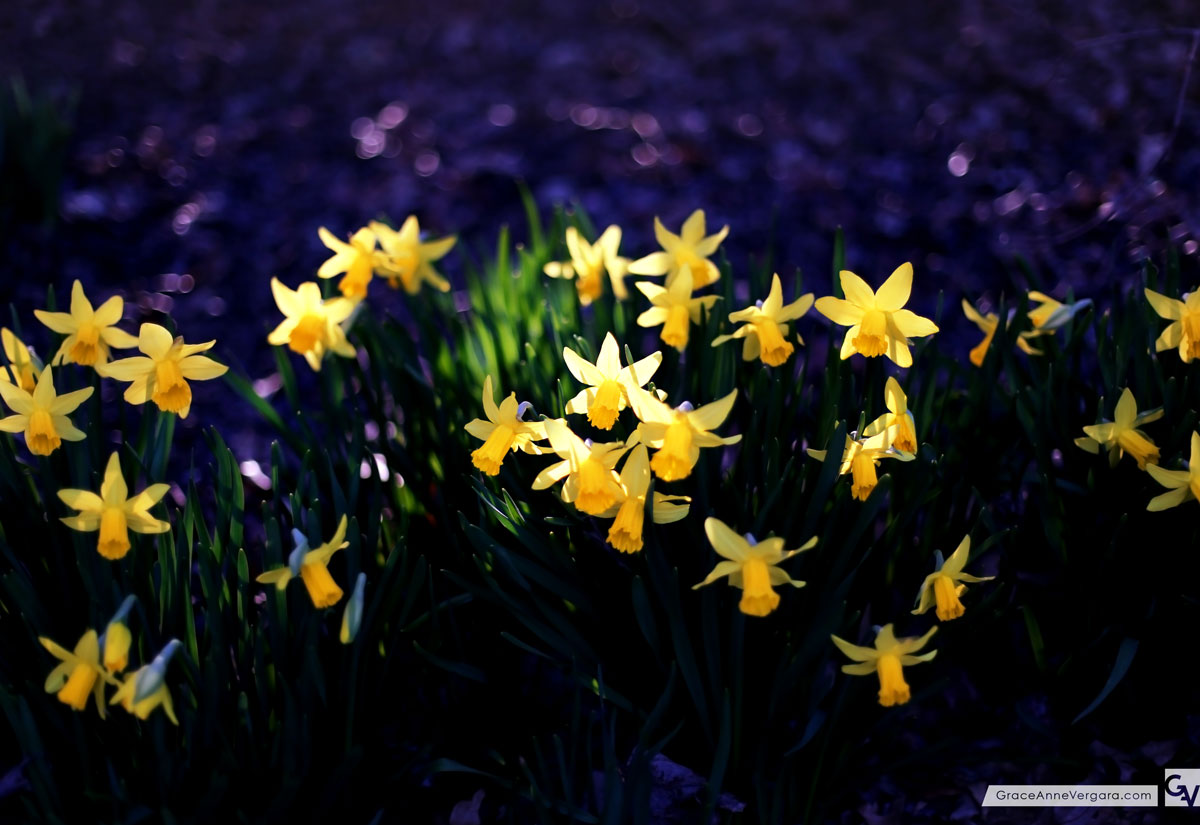 Look Down | © 2014 Grace Anne Vergara