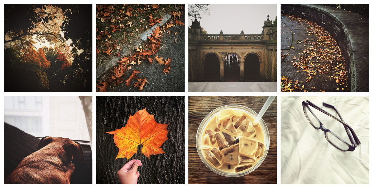 Instagram: October 2014 | © 2014 Grace Anne Vergara