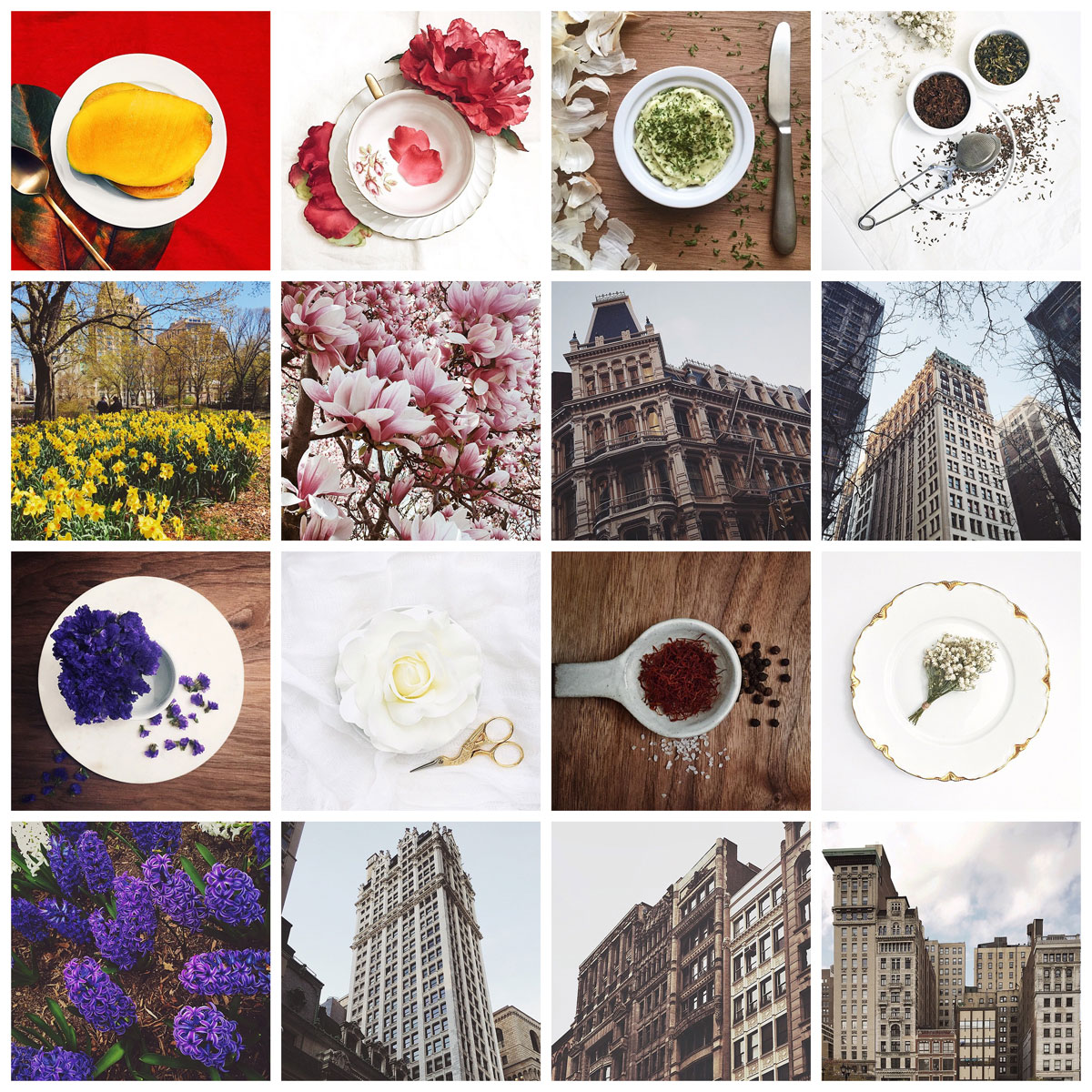 Instagram: April 2015 | © 2015 Grace Anne Vergara