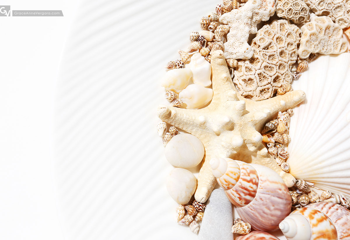Seashells | © 2015 Grace Anne Vergara