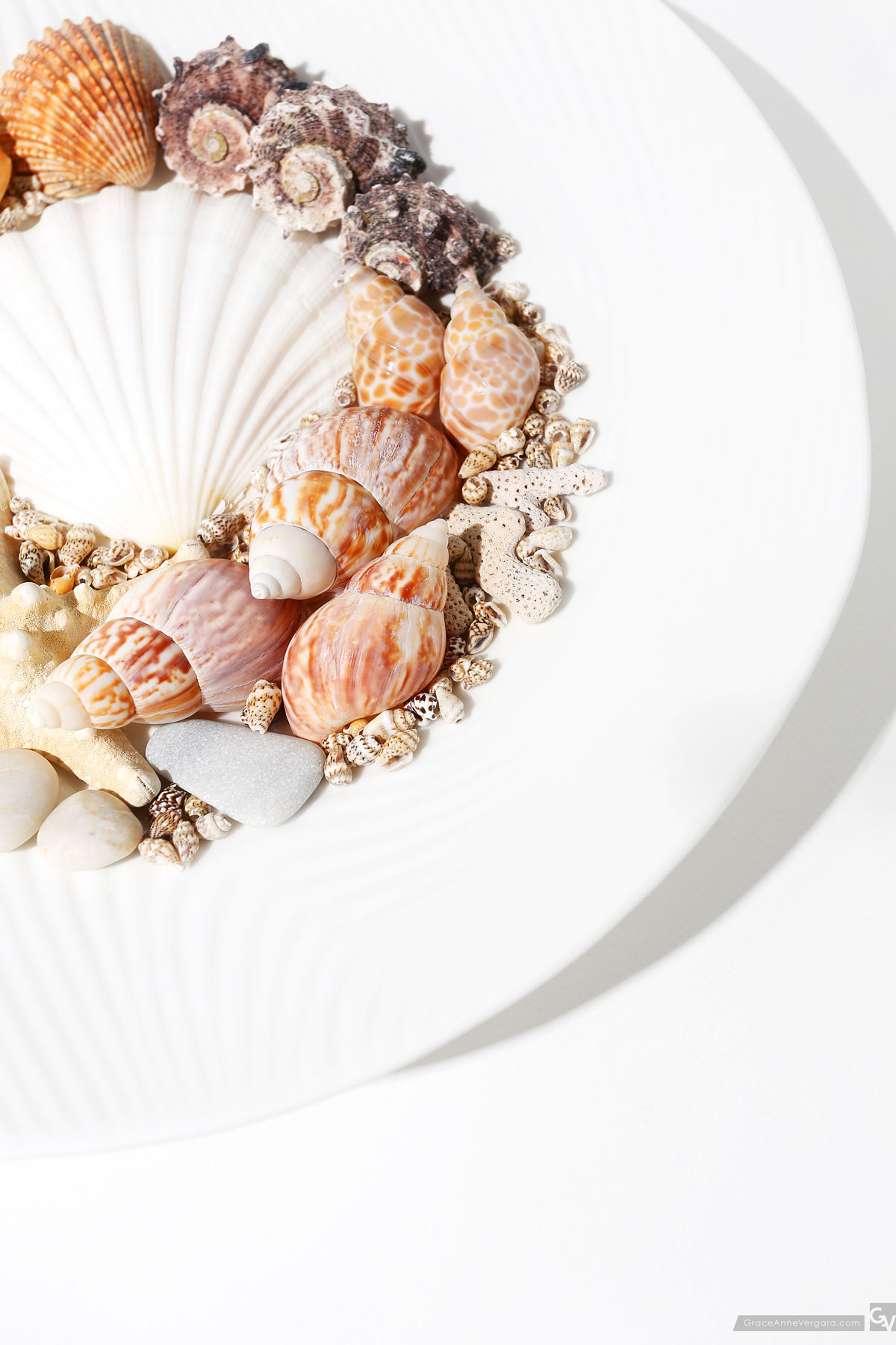 Seashells | © 2015 Grace Anne Vergara